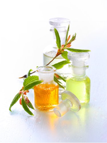 Lomi-Lomi Ölmischung - 1000ml - BIO-Qualität - Massageöl - rein pfanzlich - Neutral - Profiqualität